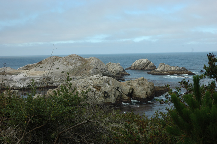 Point Lobos 025.jpg
